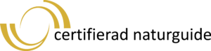 CNG Logo Color